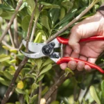 FELCO_2_041dabf7-aa9b-46a9-b50f-ad324afb56b2