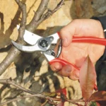 FELCO_2_041dabf7-aa9b-46a9-b50f-ad324afb56b2