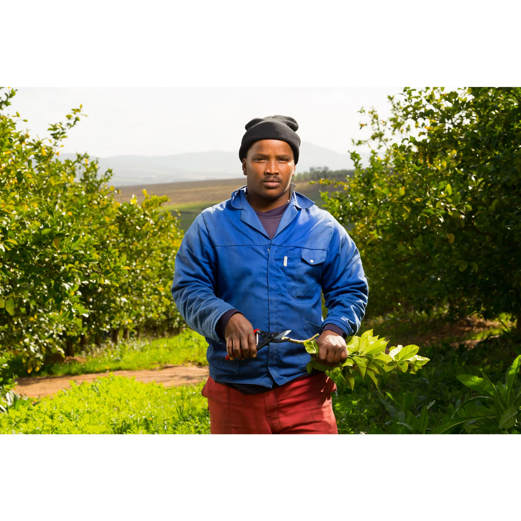 FELCO-5-VITICULTURE-2016_1627-jpg