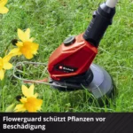 -FJPG-FWEBP (39)