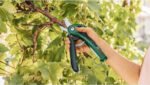 bosch-easyprune-06008b2102 (4)