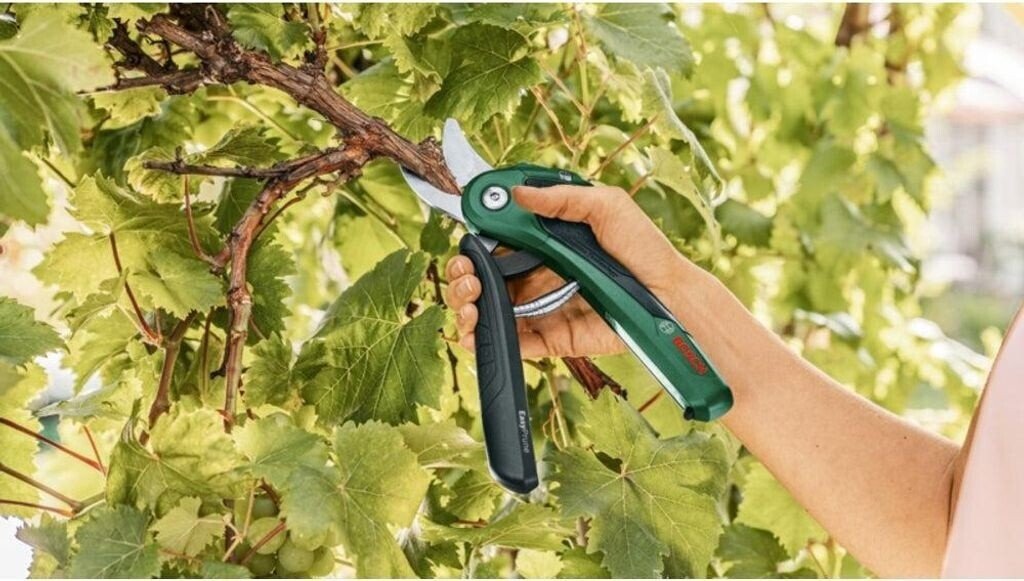 bosch-easyprune-06008b2102 (5)