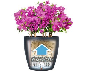 lechuza-classico-color-28-all-in-one-set-schiefergrau (2)