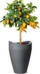 scheurich-wave-globe-high-o49cm-schwarz-granit